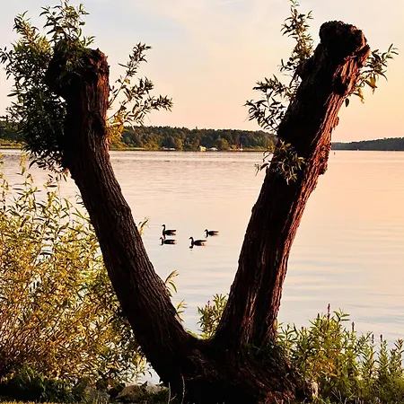 Hafendomicil Kleines Meer Daire Waren (Mueritz)